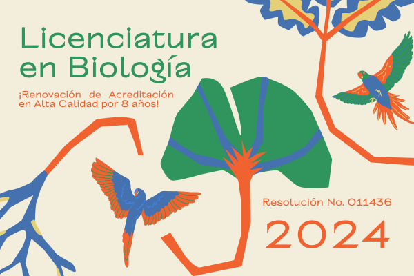 Imagen decorativa