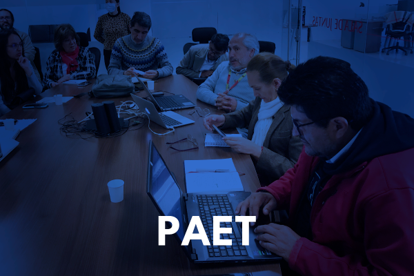 Imagen decorativa PAET