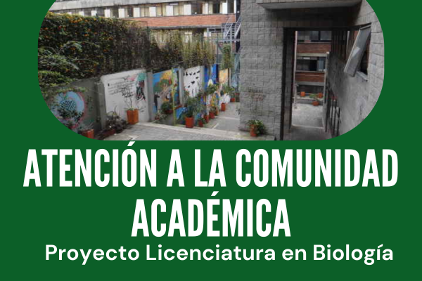 Imagen decorativa Atención Comunidad Académica PCLB