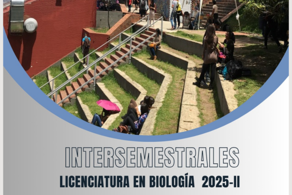 Imagen decorativa Intersemestrales 2025-II