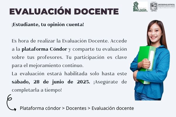 Imagen decorativa Evaluación docente 