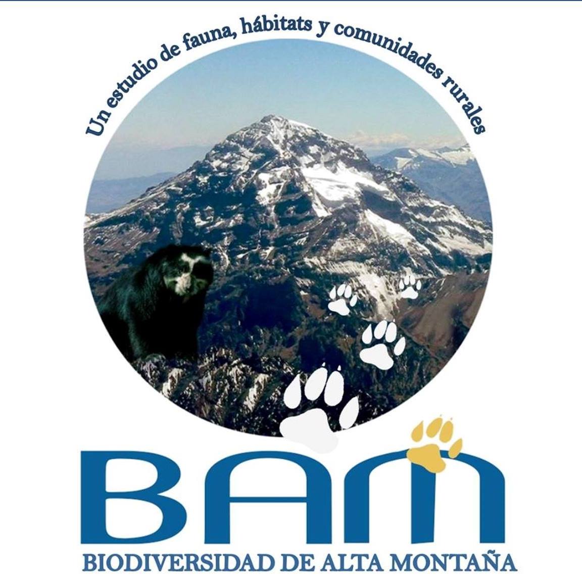 Imagen decorativa : Grupo de investigación en Biodiversidad de Montaña (BAM)