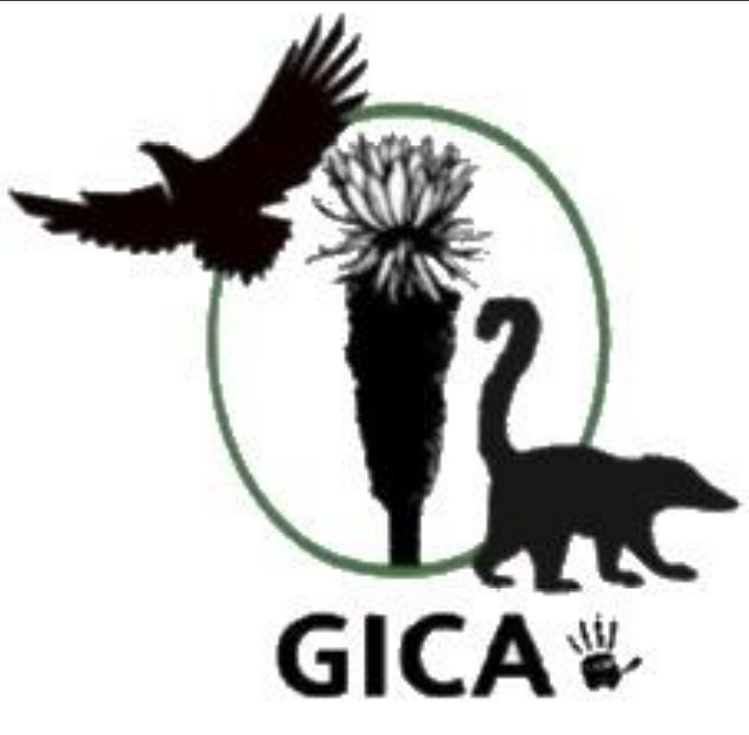 Imagen decorativa : GICA (Grupo de Investigación en Calidad Ambiental)