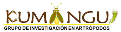Imagen decorativa : Grupo de Investigación En Artrópodos "Kumangui"
