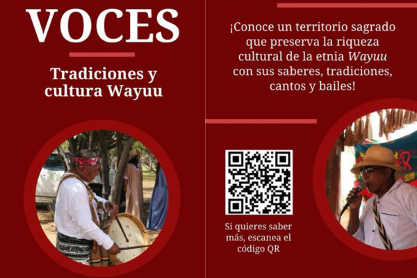 Imagen decorativa : LIBRO VOCES