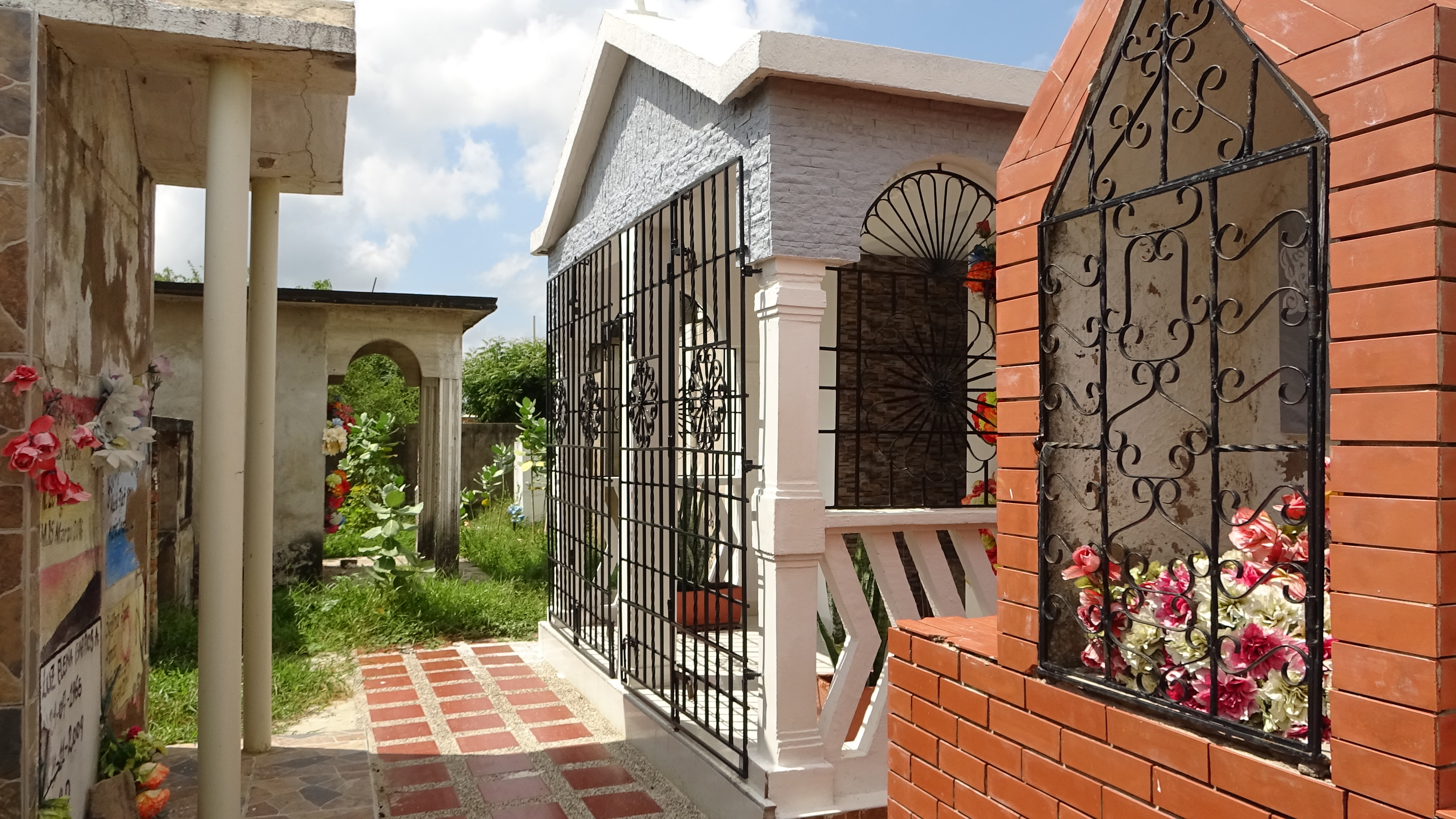 Galeria: Camarones