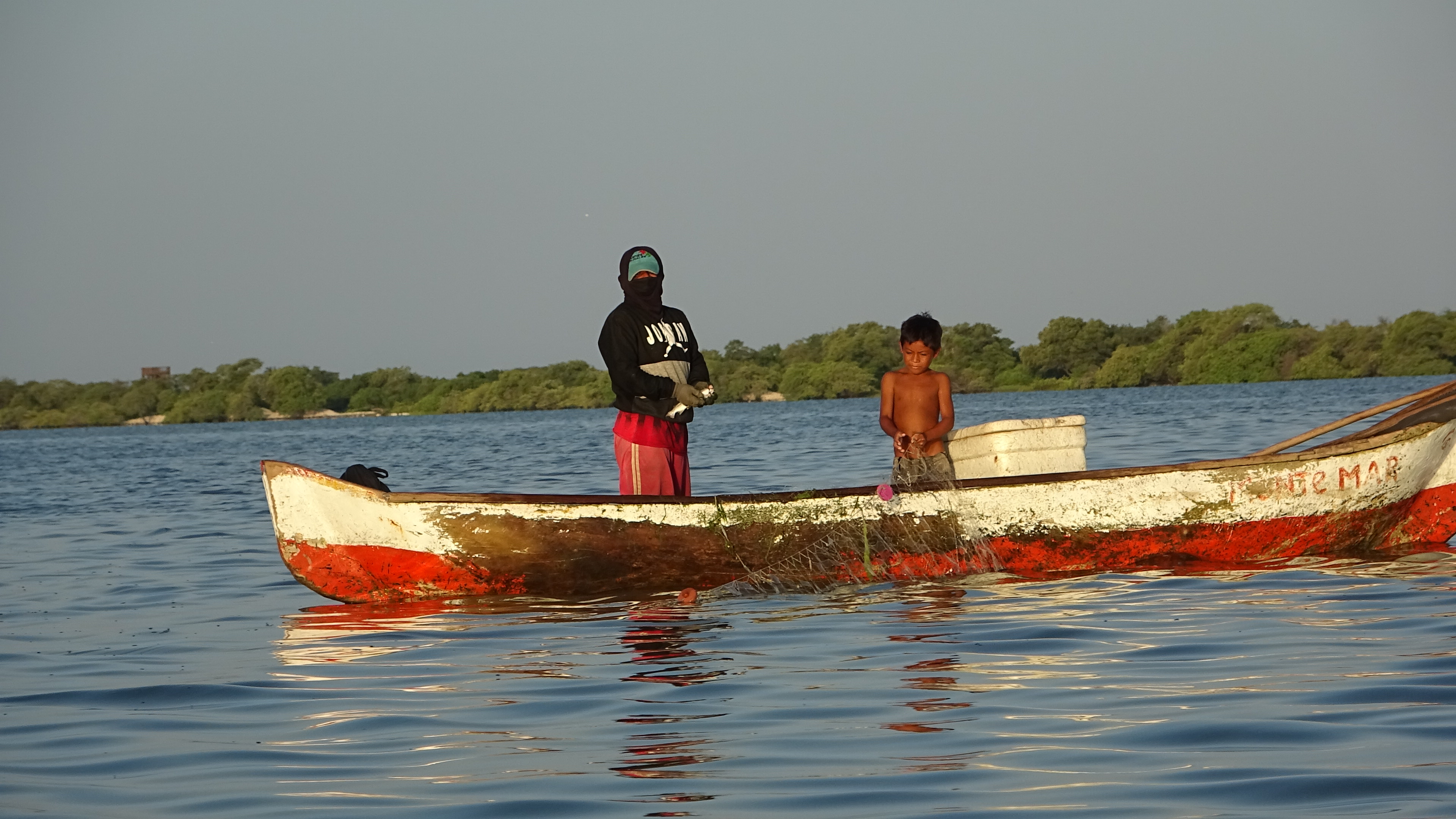 Galeria: Camarones