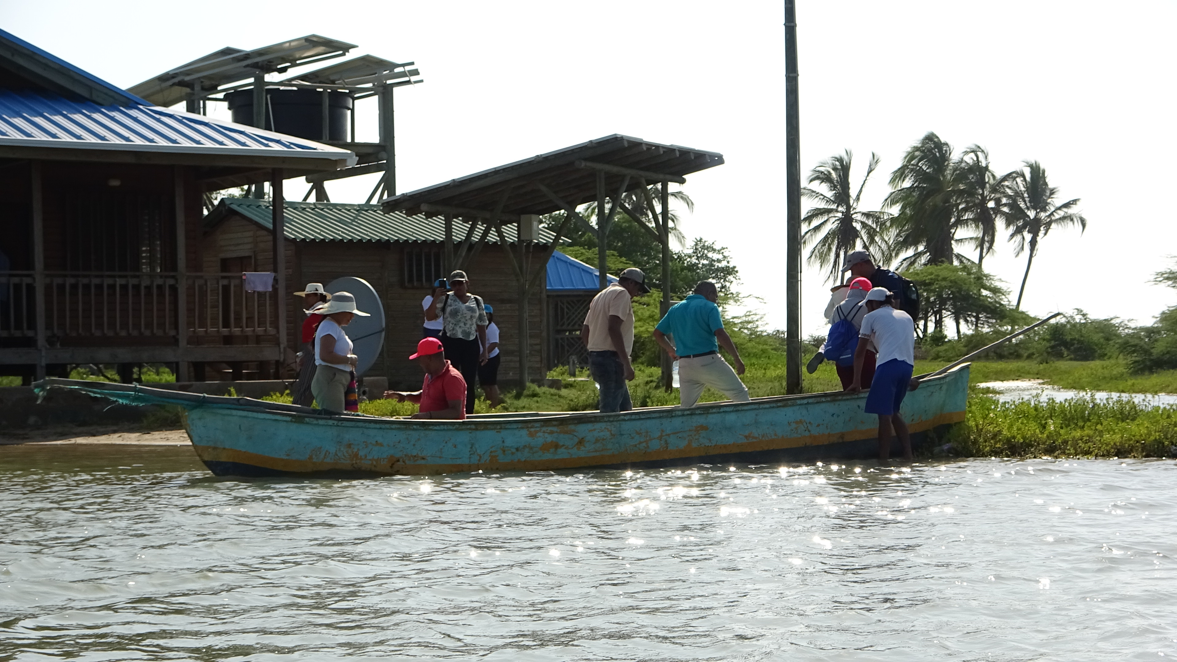 Galeria: Camarones