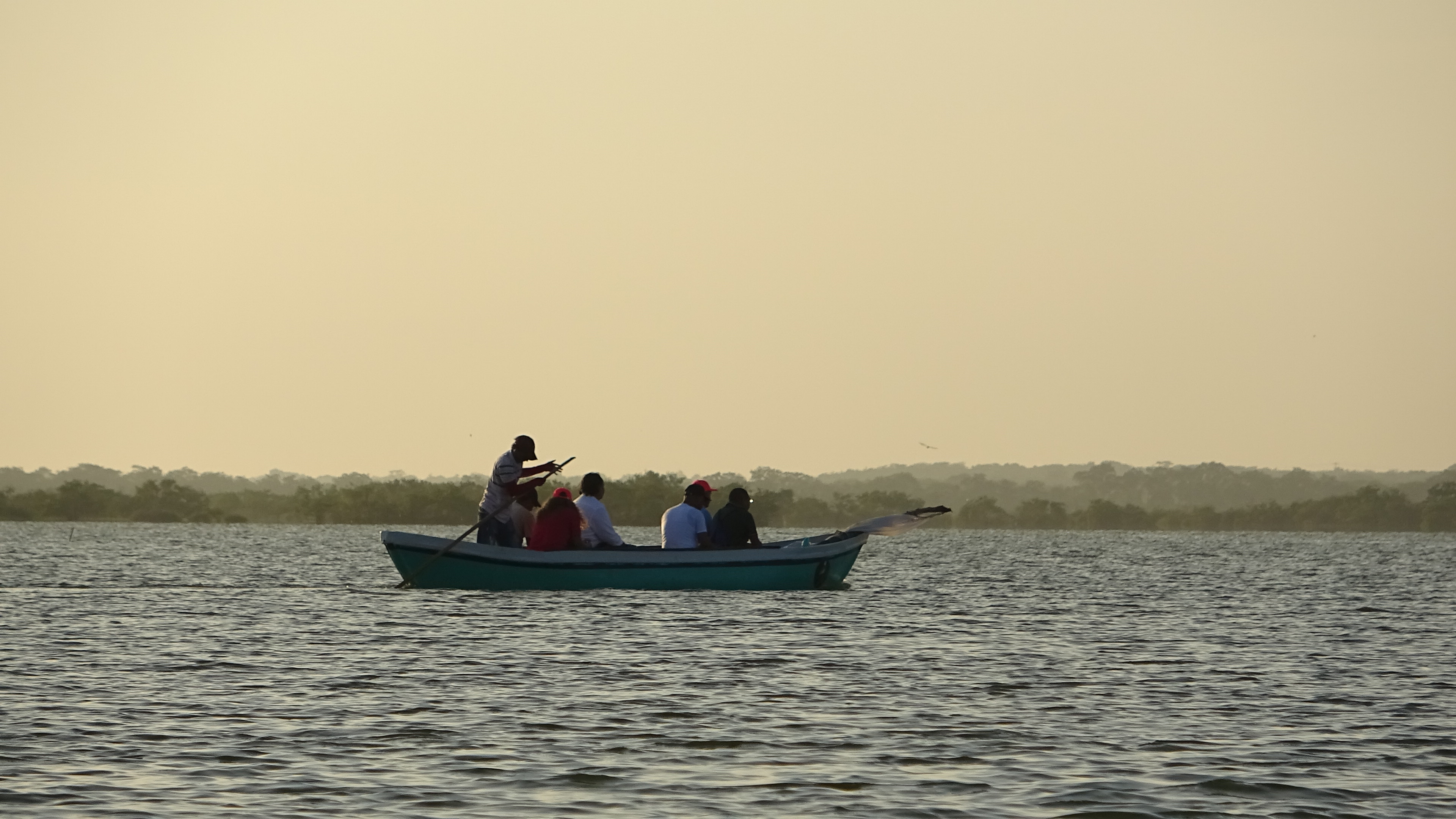 Galeria: Camarones
